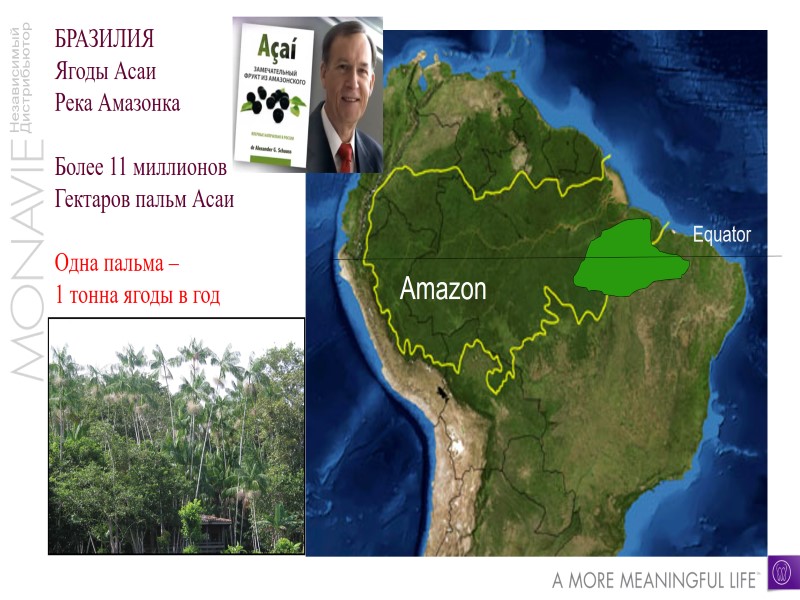 Amazon БРАЗИЛИЯ Ягоды Асаи    Река Амазонка   Более 11 миллионов